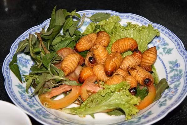 Đuông dừa chiên bột: Khi bàn về các món đặc sản Bến Tre, người ta thường nghĩ ngay đến món đuông dừa chiên bột. Đây là một món ăn vô cùng độc đáo và mang dấu ấn đặc trưng của ẩm thực Bến Tre bởi xứ dừa Bến Tre là nơi sản sinh nhiều đuông dừa nhất.