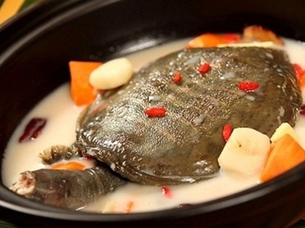 Để làm món súp rùa này, người ta không cần phải sơ chế như mổ bụng moi gan gì cả. Nguyên liệu của món ăn cũng khá đơn giản, chỉ bao gồm một nồi nước, hương liệu và gia vị theo mùa kèm theo một con rùa. Cách thưởng thức món ăn này đơn giản chỉ là thả con rùa sống vào nồi nước dùng rồi đun lửa.