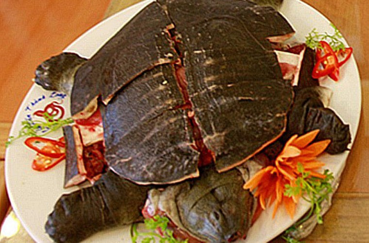 Đối với cánh mày râu Trung Quốc hay Singapore, súp rùa sống không chỉ là món ăn đại bổ mà còn giúp họ cải thiện chất lượng đời sống chăn gối.