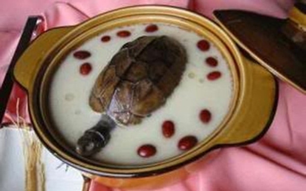 Con rùa sẽ ăn chính thức dịch tiết ra từ cơ thể nó vào bụng, bị luộc chậm rãi từ bên trong rồi lại tiết thêm ra. Sau đó, khi nước sôi, con rùa sẽ chín và ăn kèm luôn cùng món súp.