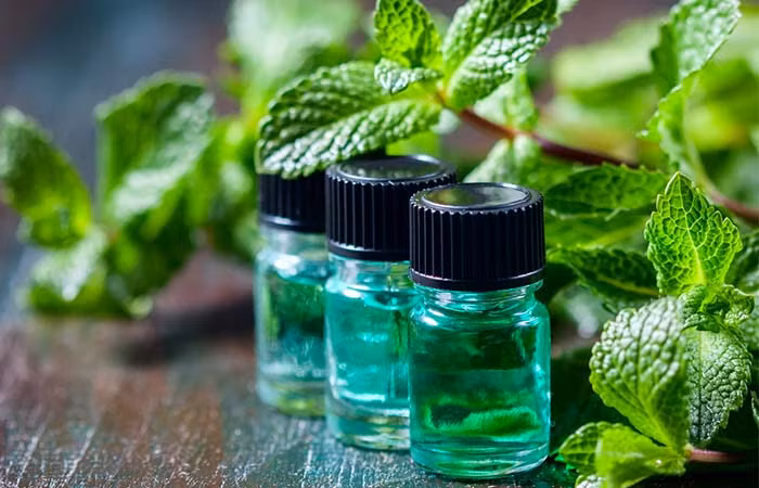 Lá bạc hà được chứng minh có chứa tinh dầu có thể làm dịu cơn đau và giảm viêm. Bạn hãy thử thấm một ít chiết xuất bạc hà vào một miếng bông gòn, sau đó áp lên nướu răng để giảm bớt đau đớn, hoặc bạn có thể đắp trực tiếp trên răng.