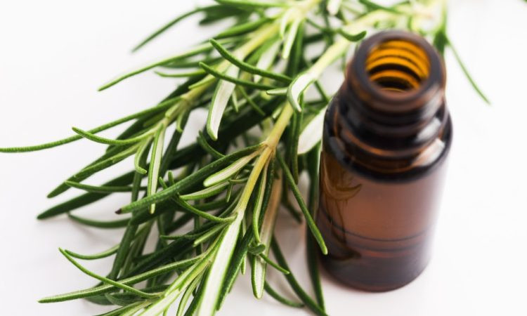 Tinh dầu tràm có thể tiêu diệt vi khuẩn trong miệng của bạn. Tuy nhiên, tinh chất dầu tràm trà có tác dụng rất mạnh, vì vậy bạn không được bôi trực tiếp vào răng của mình. Cần pha loãng tinh dầu tràm với dầu dừa và bôi vào khu vực nướu bị viêm. Một lúc sau, hãy xúc miệng sạch.