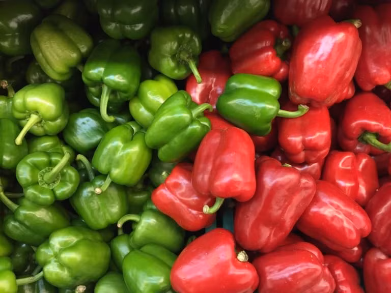 Ớt chuông xanh và đỏ: Nghiên cứu cho thấy thời tiết lạnh có thể ngăn chặn hệ miễn dịch của bạn nhưng vitamin C có các đặc tính tăng cường miễn dịch tự nhiên. Do vậy, ăn các loại thực phẩm giàu C như ớt chuông có thể là một cách tốt để tăng cường miễn dịch.