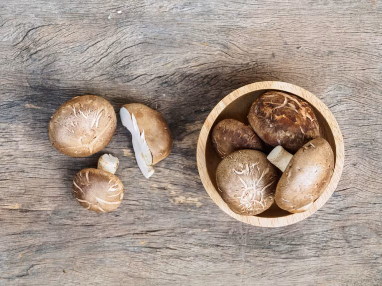 Nấm là một trong số ít các nguồn vitamin D ăn được mà chúng ta thường nhận được từ mặt trời. Các loại nấm đều tốt cho hệ thống miễn dịch, nó làm tăng hiệu quả miễn dịch của bạch cầu.