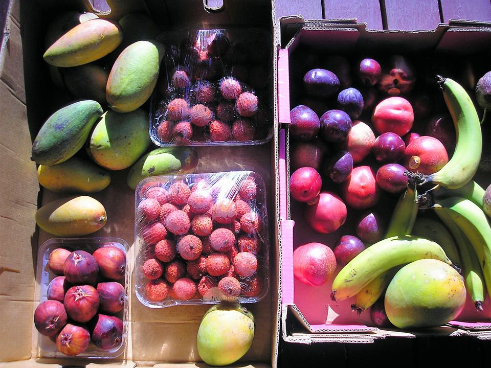 Khi đi ăn nhà hàng với bạn bè, Anne sẽ chỉ gọi những món từ hoa quả, hoặc nếu không, cô sẽ tự mang hoa quả của mình theo.