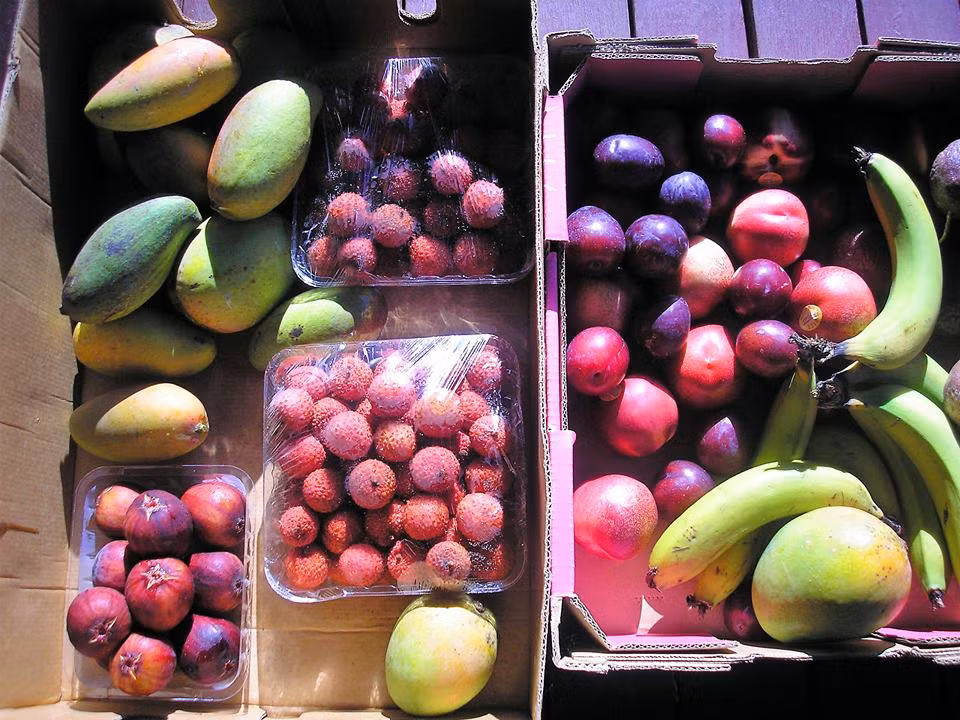 Khi đi ăn nhà hàng với bạn bè, Anne sẽ chỉ gọi những món từ hoa quả, hoặc nếu không, cô sẽ tự mang hoa quả của mình theo.