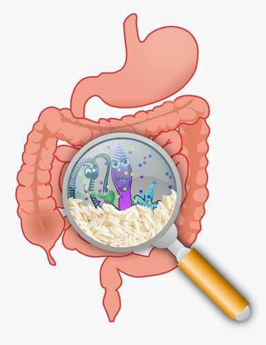 Cơm: Cùng với khoai tây, yến mạch và các loại thực phẩm tinh bột khác, cơm dễ tiêu hóa và có tác dụng làm dịu cơn đau. Các loại thực phẩm này không ở lại lâu trong dạ dày và không kích thích trào ngược axit.