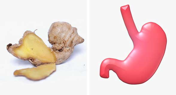 Gừng là loại thực phẩm giúp làm giảm viêm giống như các loại thuốc aspirin, ibuprofen... Ngoài ra, nó thúc đẩy lưu thông máu, hỗ trợ tiêu hóa, giúp hấp thụ được nhiều chất dinh dưỡng hơn. Gừng cũng ngăn ngừa khí và thư giãn các cơ ở đường ruột, giúp giảm đau dạ dày.