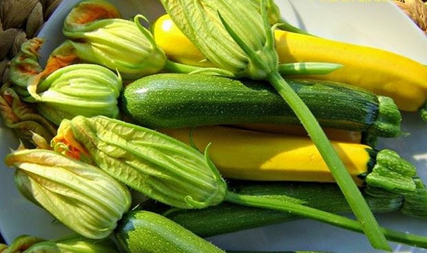 Bí ngòi là một thực phẩm mùa thu chứa nhiều chất dinh dưỡng nhất và lượng chất chống oxy hóa cao hơn.