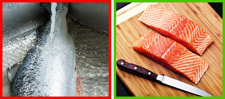 Cá: Bạn không cần rửa cá sống trừ khi bạn ăn sống nó. Nhiệt độ cao giết chết tất cả vi khuẩn và nếu bạn rửa sạch cá sống, nó có nguy cơ lây lan vi khuẩn xung quanh nhà bếp của bạn. Hãy nhớ rằng bạn nên rửa tay, thớt và dao sau khi cắt cá.