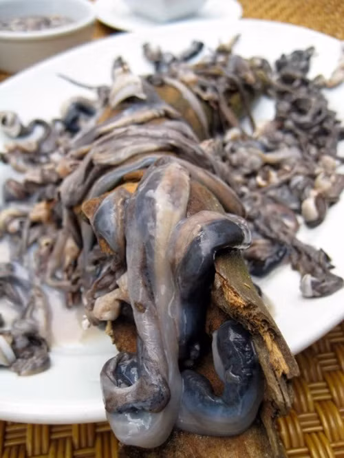 Để ăn món sâu gỗ sống, bạn phải đập thân gỗ để lấy con hà ra, làm sạch chúng rồi nhúng vào gia vị và ăn sống... trực tiếp.