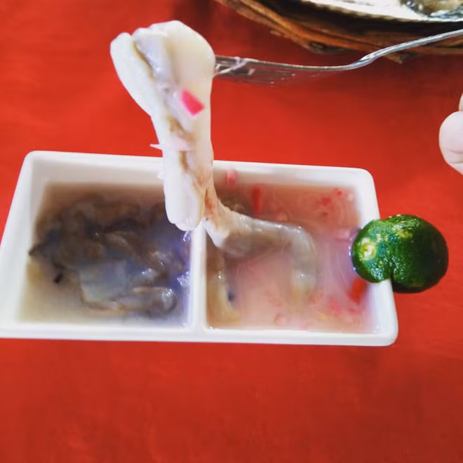 Dù nhìn như giun nhưng con hà thực chất thuộc lớp vỏ hai mảnh nhuyễn thể.