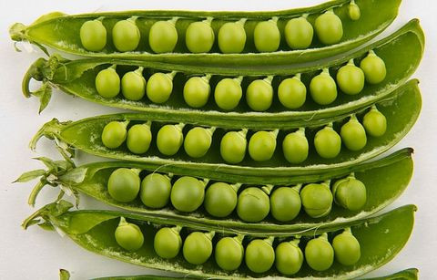 Đậu lăng có khả năng kháng tinh bột cao, đây là loại carb có ảnh hưởng tối thiểu đến lượng đường trong máu. Đậu lăng cũng giúp cải thiện tiêu hóa.