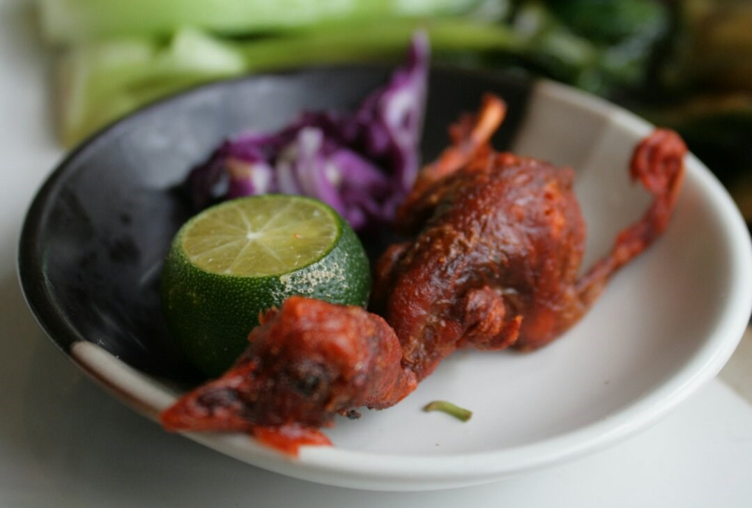 Loại gà này là những con gà đực được “thải” ra từ các trang trại gia cầm khi mới được một ngày tuổi vì chúng không thể đẻ trứng.