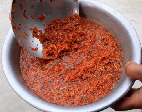 Mắm tép Hà Yên là một đặc sản quý và độc đáo ở vùng chiêm trũng xứ Thanh, trong đó nổi tiếng nhất là hai làng Đình Trung và Yên Xá thuộc xã Hà Yên, huyện Hà Trung. Công việc làm mắm tép đòi hỏi phải theo mùa, khi tép ngon, béo nhất. Ảnh: Internet.