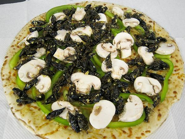 Pizza nhân ve sầu (Mỹ): Một trong những loại nhân bánh pizza kỳ lạ nhất là ve sầu. Những con ve vừa lột xác và ra khỏi lòng đất được dùng để làm salad, bánh taco và nhân pizza. Chúng có vị bùi và giòn rất hấp dẫn. Ảnh: Inland360.