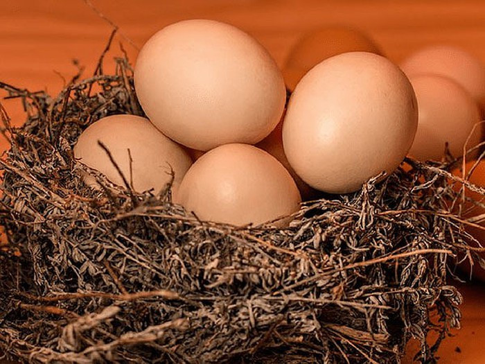 Trứng rất giàu vitamin B. Vitamin B có thể làm giảm mức độ nghiêm trọng của bệnh trầm cảm. Theo một nghiên cứu, những người tiêu thụ ít vitamin này có nguy cơ mắc trầm cảm.