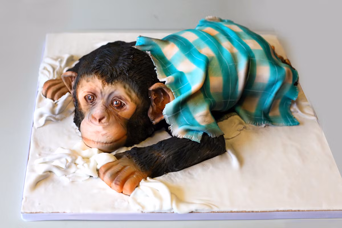 Bánh hình chú khỉ con.