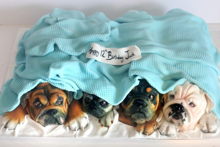 Bạn có bất ngờ khi nhận được chiếc bánh kem bốn chú chó chúc mừng sinh nhật?