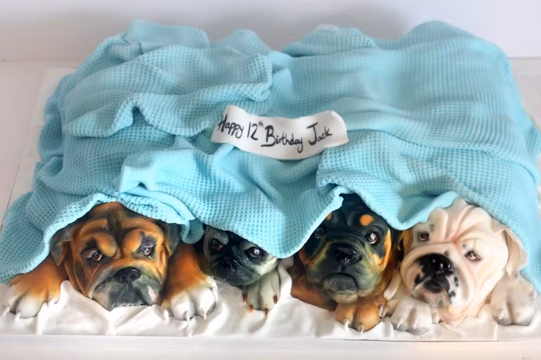 Bạn có bất ngờ khi nhận được chiếc bánh kem bốn chú chó chúc mừng sinh nhật?