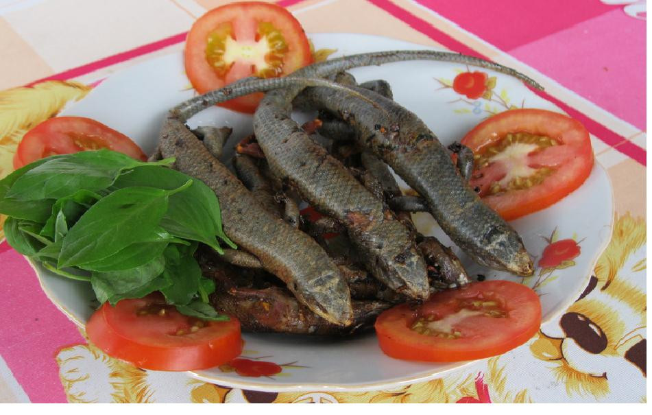 Thịt rắn mối có thể làm được rất nhiều món ngon miệng như nướng than, chiên giòn, xào sả ớt, cháo rắn mối… Món nào cũng dễ chế biến mà hương vị lại đậm đà, đặc trưng. Ảnh: Internet.