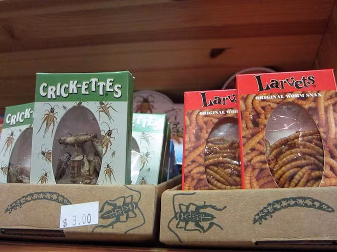  Snack côn trùng: Một số loại côn trùng và ấu trùng được tẩm ướp, sấy khô để biến thành snack. Các loại snack này có các vị rất đa dạng như thịt nướng, phô mai cheddar, muối - dấm...