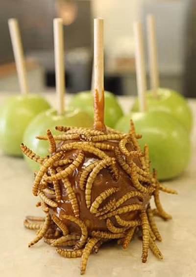 Cây kẹo socola nhúng côn trùng thoạt nhìn sẽ khiến nhiều người cảm thấy "hoang mang, kinh hãi" nhưng khi nếm thử bạn sẽ thấy món ăn trông kì quặc này lại rất ngon đấy. 