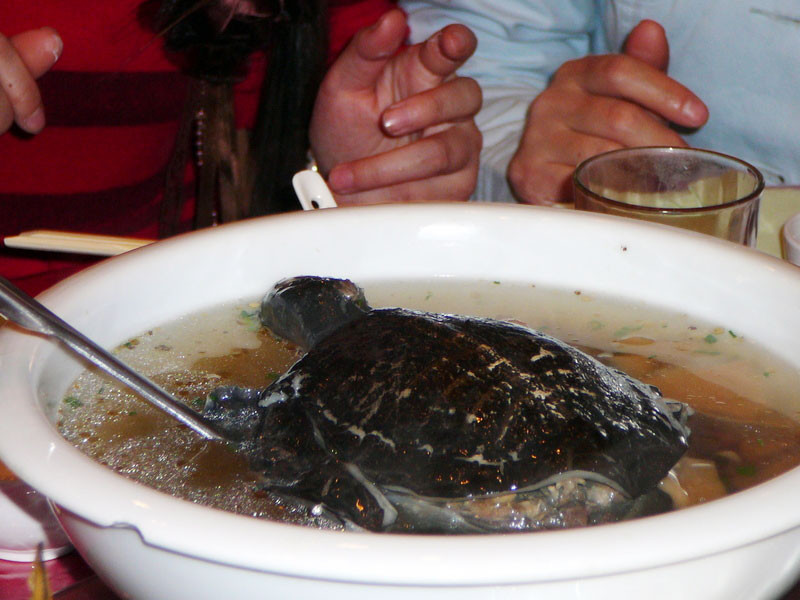 Nếu có thể vượt qua nỗi sợ thì bạn có thể thưởng thức một trong những món ăn kinh dị của ẩm thực Singapore.