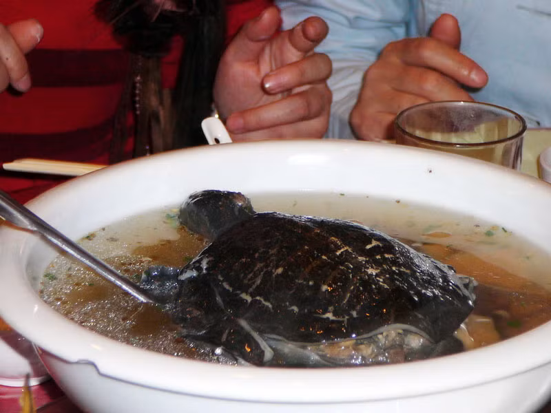 Nếu có thể vượt qua nỗi sợ thì bạn có thể thưởng thức một trong những món ăn kinh dị của ẩm thực Singapore.