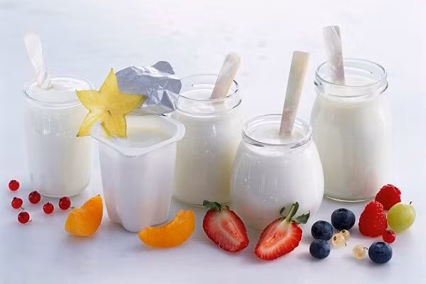 Các thực phẩm vi sinh như sữa chua, kim chi, kefir, tempeh, dưa cải bắp...giúp ích trong việc duy trì mức độ tốt nhất của vi khuẩn khỏe mạnh sống trong đường ruột của bạn. Ảnh: Internet.