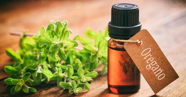 Dầu oregano (kinh giới): Dầu này rất hiệu quả để chữa bệnh ký sinh trùng . Bạn hãy sử dụng vài giọt dầu này trong một cốc nước và sử dụng chúng ba lần một ngày. Bạn cũng có thể kết hợp dầu oregano với nước cốt chanh để thêm vitamin vào hỗn hợp.