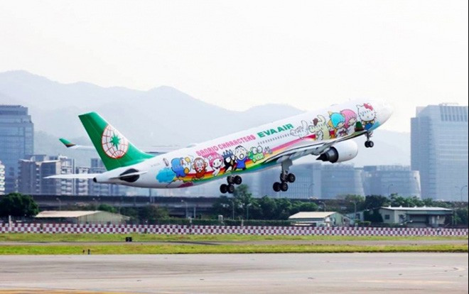 Vi sao may bay nang ne co the bay luon nhu chim?-Hinh-2