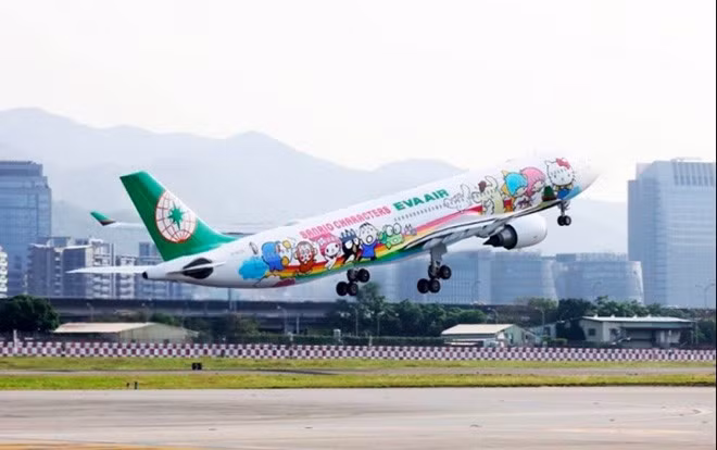 Vi sao may bay nang ne co the bay luon nhu chim?-Hinh-2