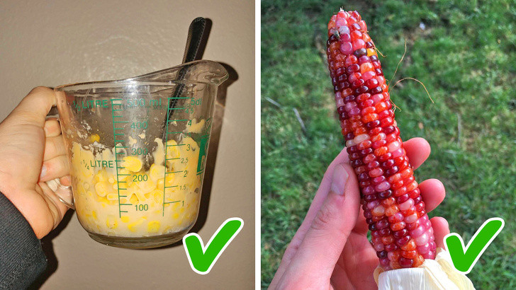 Ngô: Ngô đông lạnh có hàm lượng kali và canxi cao hơn so với các loại ngô tươi. Ảnh: BS.