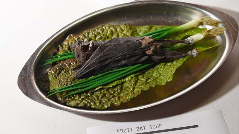 Món súp dơi nguyên con.