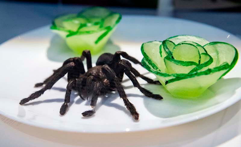 Nhện độc chiên. Ảnh: The Disgusting Food Museum.