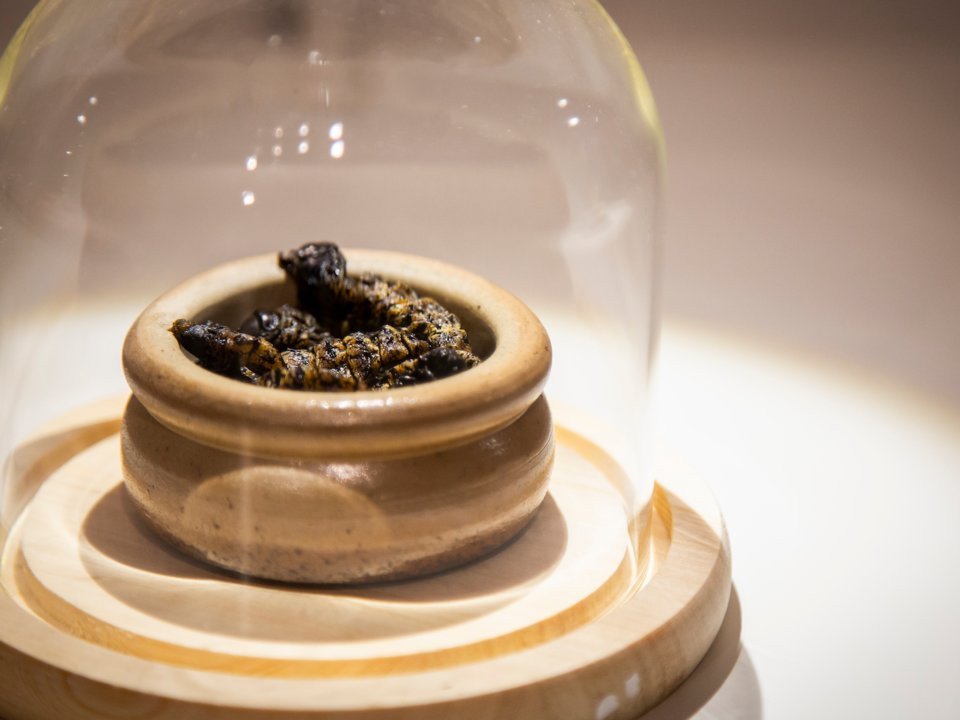 Món sâu đặc sản của người dân châu Phi thách thức người ăn.