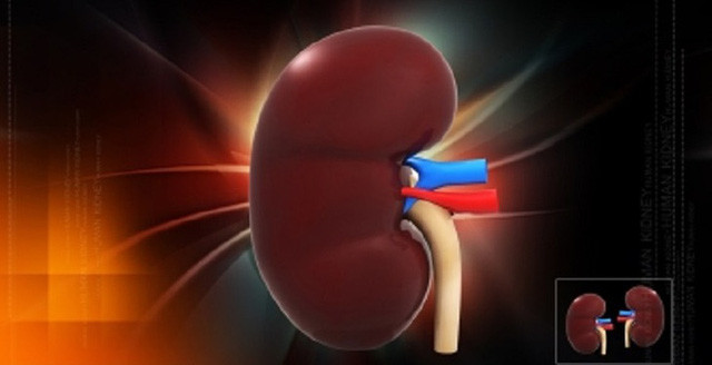 Lam gi de khong bi suy than nang nhu Hoa hau Quoc te 2013-Hinh-2