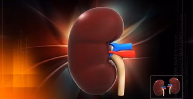 Lam gi de khong bi suy than nang nhu Hoa hau Quoc te 2013-Hinh-2