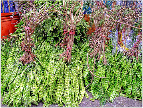 Tuy nhiên, ăn nhiều đậu Sa tor sẽ dễ bị đầy bụng và tạo ra mùi hôi trong miệng, bạn không nên ăn quá nhiều và khi ăn xong nên nhai kẹo bạc hà để khử mùi. Ảnh: Internet.