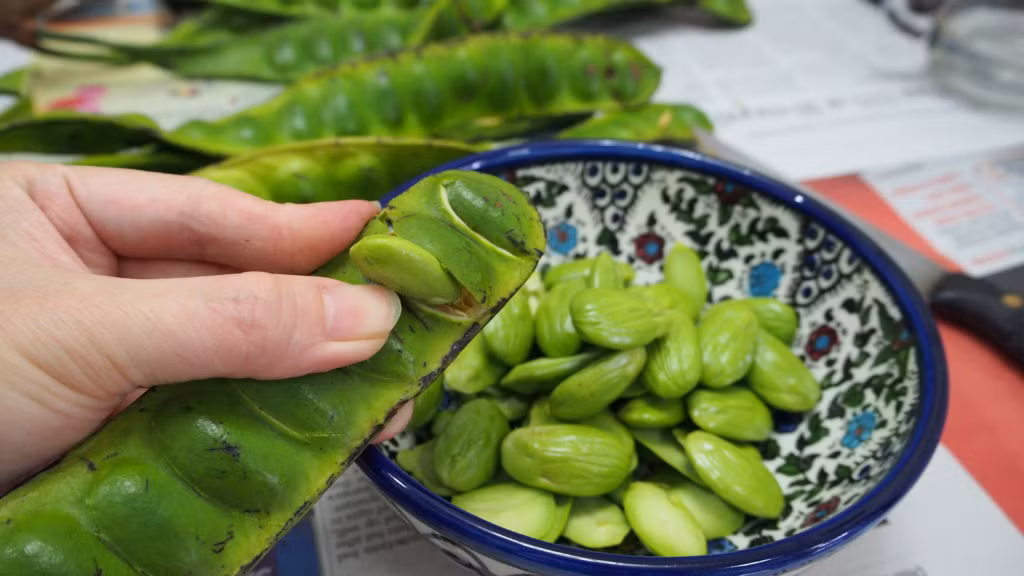 Những hạt đậu sa tor thường có mùi hăng hắc, hơi hôi cho dù chúng đã được tẩm ướp kỹ và xào cùng với nhiều nguyên liệu vị thơm ngon khác.