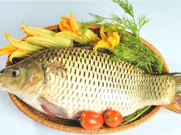 Cá chép: Theo Đông y, thịt cá có vị ngọt, tính bình, vào tỳ thận, có tác dụng lợi tiểu thũng, hạ khí thông nhũ nên được bà bầu yêu thích. Loài cá này thường dùng để hấp, rán hay nấu canh giúp bồi bổ cơ thể.