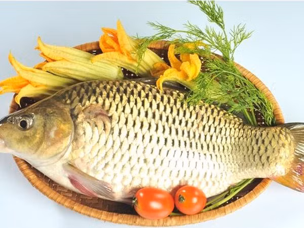 Cá chép: Theo Đông y, thịt cá có vị ngọt, tính bình, vào tỳ thận, có tác dụng lợi tiểu thũng, hạ khí thông nhũ nên được bà bầu yêu thích. Loài cá này thường dùng để hấp, rán hay nấu canh giúp bồi bổ cơ thể.