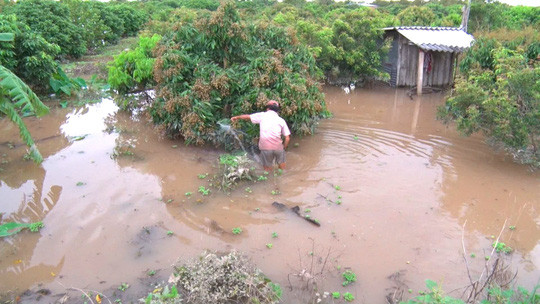 Vo de vi dat cong au, cuoc song nguoi dan cu lao bi dao lon-Hinh-2