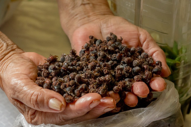 Loại kiến này có thể chế biến thành nhiều món ngon như đem rang lên ăn kèm bánh mì ngô dày, cho thêm đậu và bơ lên trên hoặc dùng kiến làm thành một loại sốt.