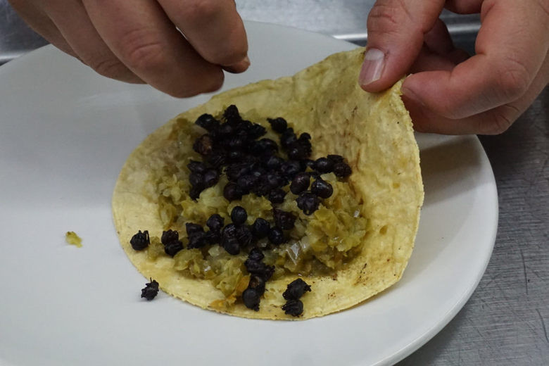 Nếu có dịp tới Mexico, bạn nhất định phải thử món đặc sản có một không hai này. Ảnh: Internet.