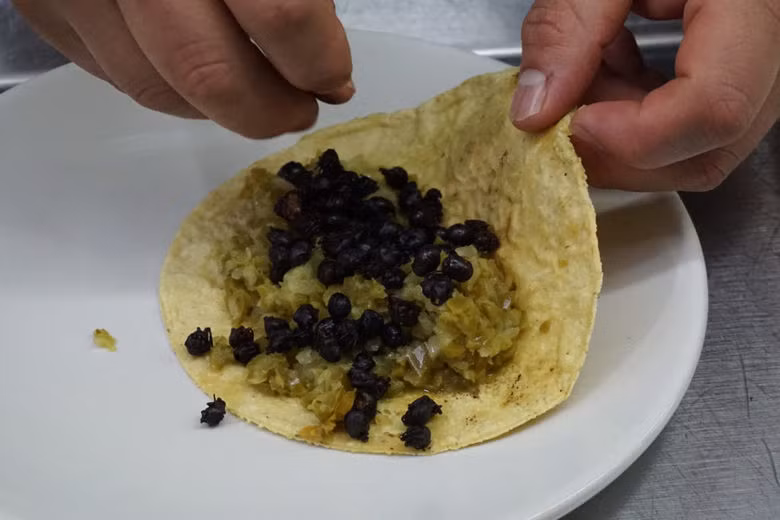 Nếu có dịp tới Mexico, bạn nhất định phải thử món đặc sản có một không hai này. Ảnh: Internet.