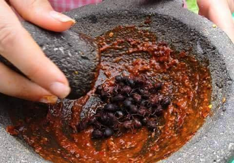 Ngoài ra, có người lại bóp lấy phần chất béo trắng bên trong con kiến để làm một loại sốt ngậy hơn hoặc nghiền kiến ra và trộn với muối để ăn kèm với đồ uống.