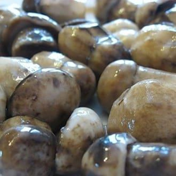 Nấm ngâm, cà chua ngâm, bắp cải muối: Những món ăn Nga này có vẻ bề ngoài khá kinh dị, màu sẫm và nhớt nhớt. Tuy nhiên, khi người ta ăn nó như mồi nhậu với một chai chaser vodka thì món ăn trở nên ngon hơn rất nhiều.