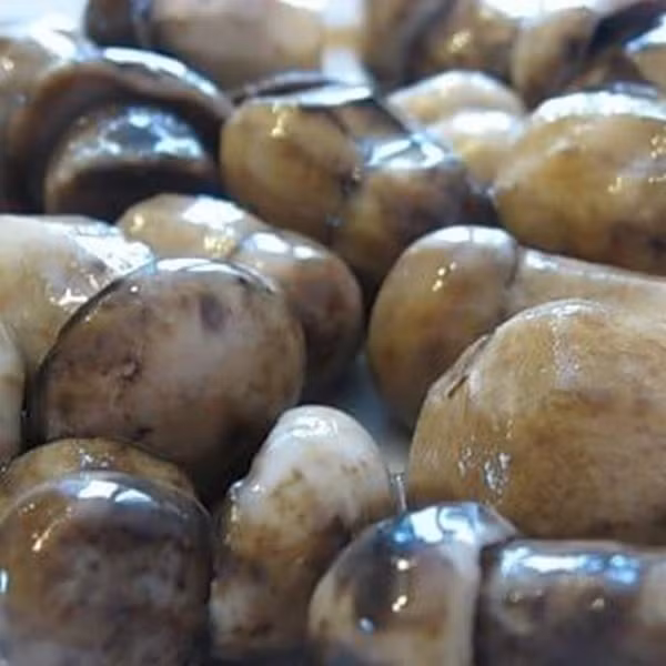 Nấm ngâm, cà chua ngâm, bắp cải muối: Những món ăn Nga này có vẻ bề ngoài khá kinh dị, màu sẫm và nhớt nhớt. Tuy nhiên, khi người ta ăn nó như mồi nhậu với một chai chaser vodka thì món ăn trở nên ngon hơn rất nhiều.